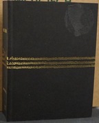 PAN ŻARÓWKA WOJTEK WAWSZCZYK wydanie I