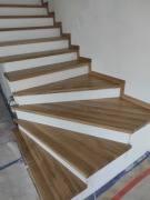 Stopnie trepy dębowe.