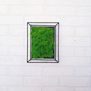 obraz/mech chrobotek/loftowa dekoracja/prezent