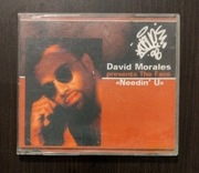 David Morales - Needin U (singiel)
