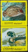 Bahrajn Manama Fauna Ptaki