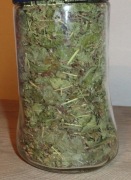 Czyściec leśny suszony 25g 