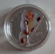 Srebrna moneta 10 dolarów z Wysp Salomona - kuskus plamisty