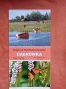 Gmina Dąbrówka mapa 