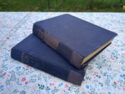 Dzieje przygody doświadczenia i zapiski Davida Coppperfielda