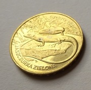 Moneta 2 zł Jaszczurka zielona  Lacerta viridis 2009 (4)