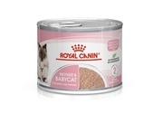 Royal Canin Babycat Instinctive 12x195g dla kociąt