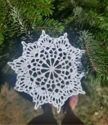 gwiazdki ozdoba choinkowa zestaw 6 szt