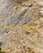 Udostępnianie miejsca pod wywóz zimi i kamienia