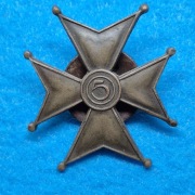 Odznaka 5 Pułk Strzelców Konnych