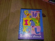 Zeszyt do słówek 13 kartek w kratkę A6 Top-2000 Kubuś Puchatek Disney