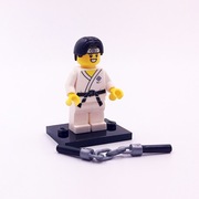 LEGO Minifigures Seria 20 – Martial Arts Boy, col20-10 (71027)