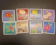 Fi 2636-2643** Kwiaty sukulentów - kaktusy