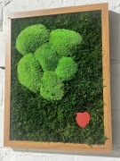 Obraz z mchu, rośliny stabilizowane, wieczny obraz, walentynki