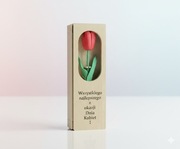 Plastikowe pudełko z tulipanem - prezent na Dzien Kobiet