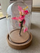 Wieczny różowy kwiat LED pod kopułą | dekoracja ozdoba lampka