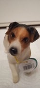 FIGURKA PSA JACK RUSSELL TERRIER LEONARDO COLLECTION LESSER & PAVEY 
