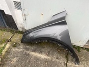 BLOTNIK LEWY PRAWY DS7 CROSSBACK 