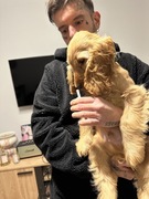 MIKROFON SEIREN MINI