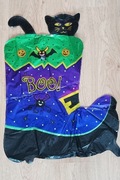 Halloween balon Kot w bucie
