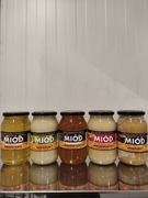 Miód 4+1GRATIS zestaw 6kg z terenów leśnych rzepakowy lipowy fasolowy spadź