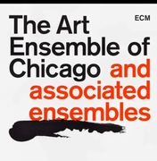 ART ENSEMBLE OF CHICAGO AACM FREE JAZZ BOX 21 CD_LESTER BOWIE 