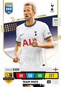 Harry Kane 142 Team Mate Karta PANINI FIFA 365 2023