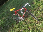 Concorde, Ultegra 600 Tricolor