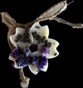 Nałęczowskie Kwiaty Nastrojowy wieczór - Pachnidło wosk zapachowy 