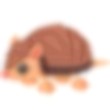 Armadillo Adopt Me AM