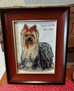 york pies obraz haftowany yorkshire terrier na prezent