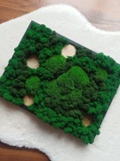 Obraz z mchu stabilizowanego 