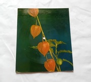 Pocztówka dźwiękowa Czerwono-Czarni/ Trubadurzy. Nie bój się... 1972r