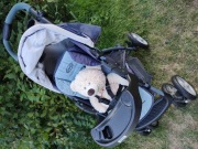 Wózek spacerowy GRACO