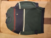 Sweter US Polo męski 