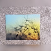 Plakat ścienny 30x40cm PIXERS