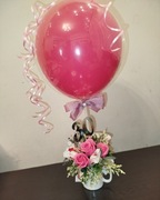 Boxy na każdą okazję 