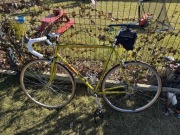 Rower szosowy Legnano Antares