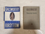 Saga rodu Forsyte'ów - Galsworthy John - Tom 5
