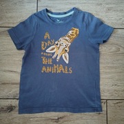 T-shirt granatowy z żyrafą 98/104