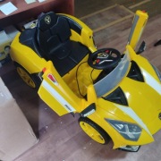 Bujak zarobkowy na monety