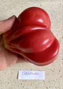 Pomidor Tlacolula Kolekcjonerskie nasiona
