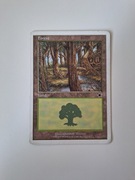 Forest (171) Starter 1999 MTG land