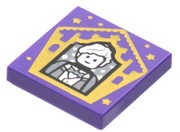 Lego Harry Potter Tile 2x2 "Karta" Newt Scamander 3068pb1751 