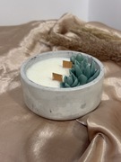 Świeca dekoracyjna sukulenty (zapachowa, gipsowa doniczka, drewniany knot)
