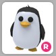 Penguin adopt me pet/Ride:Yes/Fly:No/Age:Newborn