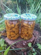 Kurki w solance 320 ml