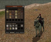 Sura WP 45 lvl Bojowiec Jinno | ElderMT2