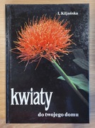 Kwiaty do Twojego Domu Kiljańska