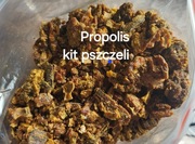 Propolis Kit Pszczeli 100 gram 